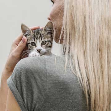 Installation von Padelplätzen (Indoor/Outdoor) in Deutschland